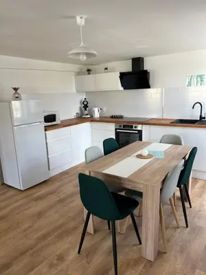 Cuisine ou kitchenette dans l'établissement L'appartement des Perroquets