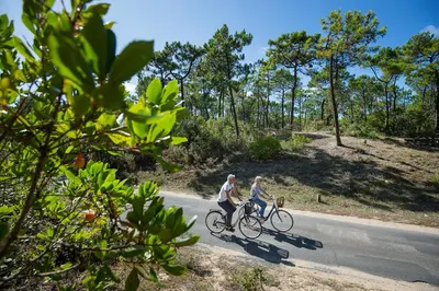 Vélo sur le terrain de l'établissement Maison avec terrasse - 900m plage des Sableaux ou dans les environs