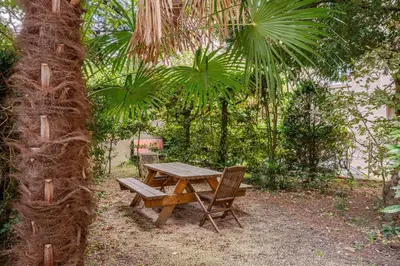 Jardin de l'établissement Chambre chez l'habitant - Arty & Élégante - SDB privée