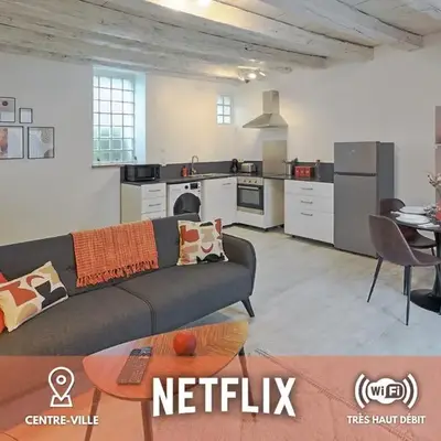 Centre-ville - Fibre - Netflix - T2 LE RIEFFEL