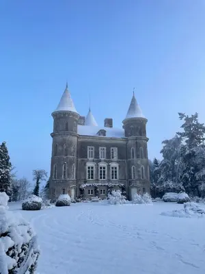 L'établissement Château Doré les Tours - Appartement Renard - Proche Puy du Fou en hiver