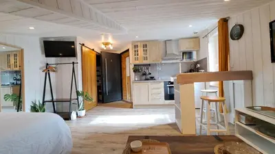 Cuisine ou kitchenette dans l'établissement Studio-centre ville