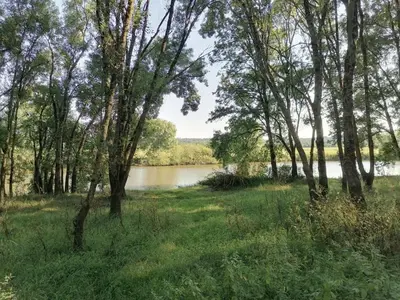 Paysage naturel près de la maison d'hôtes