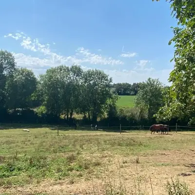 chambre d'hôtes les roseaux