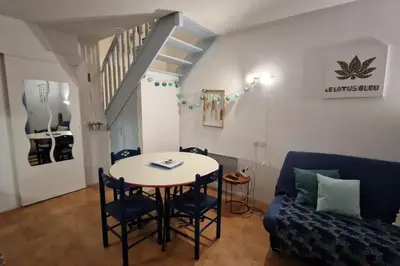 Cuisine ou kitchenette dans l'établissement Le Lotus Bleu