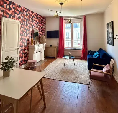 Télévision ou salle de divertissement dans l'établissement LE BOTANICA Bel appartement situé à 5 min de la gare d'Angers