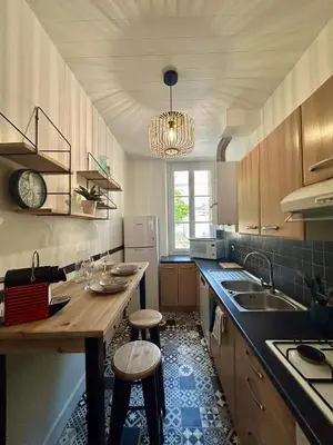 Cuisine ou kitchenette dans l'établissement LE BOTANICA Bel appartement situé à 5 min de la gare d'Angers