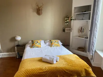 Un ou plusieurs lits dans un hébergement de l'établissement LE BOTANICA Bel appartement situé à 5 min de la gare d'Angers