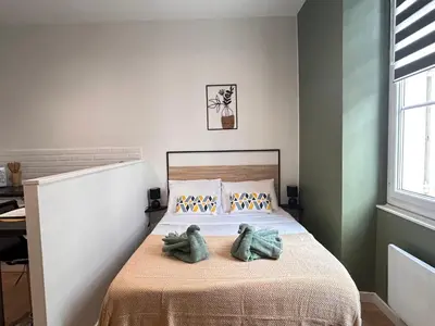 Un ou plusieurs lits dans un hébergement de l'établissement Lysbed - Studio Camélia - Angers