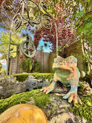 Jardin de l'établissement Demeure François de l'Isle du Fief - Charme unique
