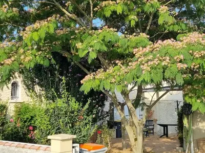 Jardin de l'établissement Agréable maison au cœur de St Hilaire
