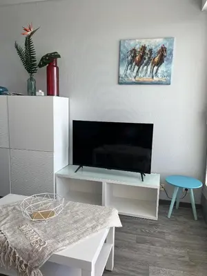 Télévision ou salle de divertissement dans l'établissement L Arc en Ciel