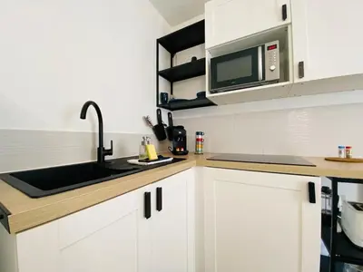 Cuisine ou kitchenette dans l'établissement Casa Jardin des Plantes : T2