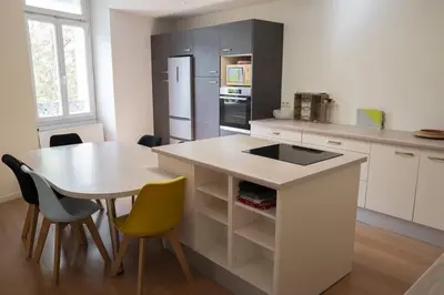 Cuisine ou kitchenette dans l'établissement Cholet, en Centre-Ville et Spacieux, Proche du Parc du Puy DuFou
