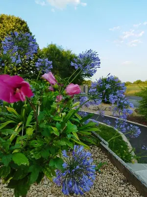 Jardin de l'établissement Le Gite de L'Ogerie - 20 min du Puy du F - Petit dej et draps compris