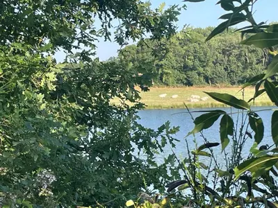 Paysage naturel près de la maison de vacances