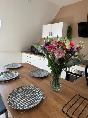 Cuisine ou kitchenette dans l'établissement T2 Centre ville proche gare - Tramway au pied