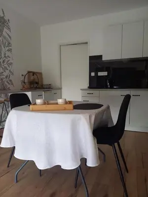 Cuisine ou kitchenette dans l'établissement L'appart des mésanges