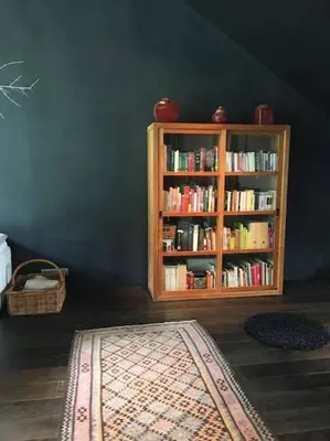 Bibliothèque dans le séjour chez l'habitant