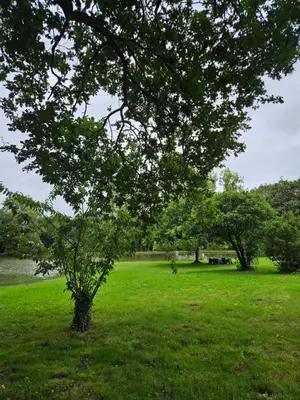 Paysage naturel près de l'appartement