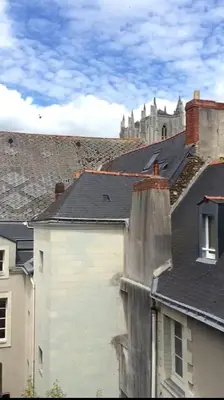Plan de l'établissement Superbe studio avec terrasse - Cathédrale