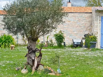Jardin de l'établissement maison piscine clos ,wifi, pas de chien , 2 chambres près de la mer