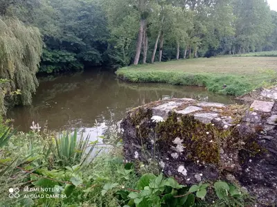Paysage naturel près de la maison de vacances