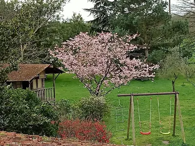 Jardin de l'établissement Le Plessis renard