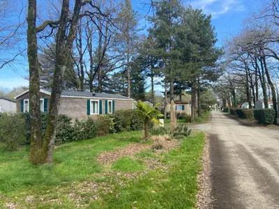 Jardin de l'établissement Camping Coeur de Vendée, la Boissière de Montaigu