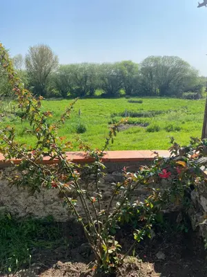 Jardin de l'établissement L'Origami - Domaine de la Houblette