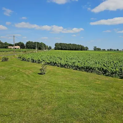 Jardin de l'établissement Chez Pascal Sissi -Au Coeur de Vignes, parking free