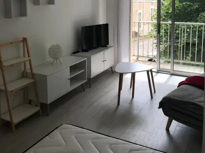Télévision ou salle de divertissement dans l'établissement Appartement avec balcon, proche CHU, château, Tramway