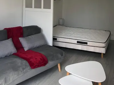 Coin salon dans l'établissement Appartement avec balcon, proche CHU, château, Tramway