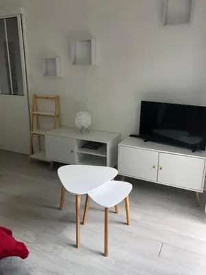 Télévision ou salle de divertissement dans l'établissement Appartement avec balcon, proche CHU, château, Tramway