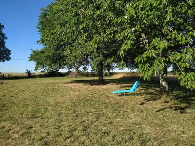 Jardin de l'établissement Petite maison à la campagne