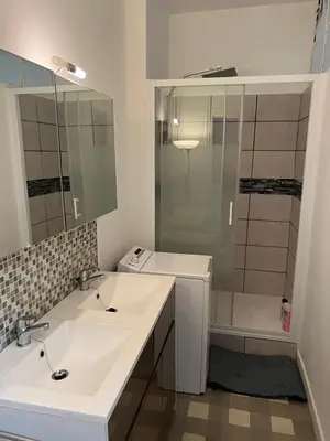 Salle de bains dans l'établissement Charmant appart o cœur de Nantes avec parking