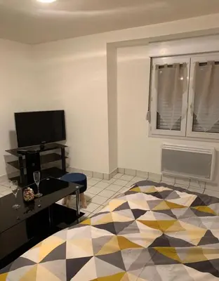 Télévision ou salle de divertissement dans l'établissement Studio centre ville Angers