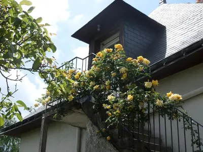 Jardin de l'établissement Chambres d'Hotes du Haut Anjou