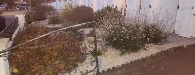 Jardin de l'établissement La Genetouze
