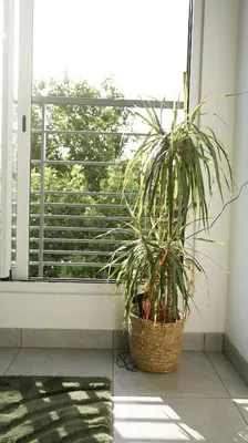 Balcon ou terrasse dans l'établissement Le Standing, hyper centre T2