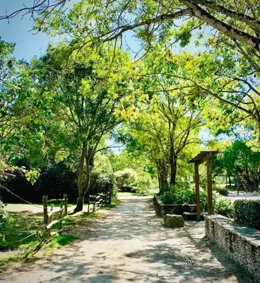 Jardin de l'établissement Maison familiale vue mer au calme 3 etoiles Villa Rose