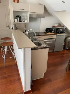 Cuisine ou kitchenette dans l'établissement 2 pièces de 46 m2 en plein cœur de Nantes