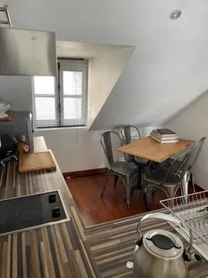 Cuisine ou kitchenette dans l'établissement 2 pièces de 46 m2 en plein cœur de Nantes