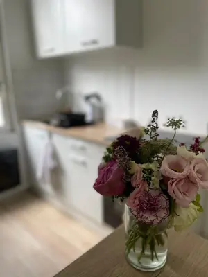 Cuisine ou kitchenette dans l'établissement Cosy Angevin - Joli petit appartement