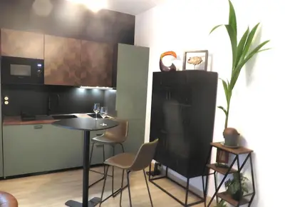 Cuisine ou kitchenette dans l'établissement L'Ethnique - Hypercentre - Gare