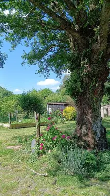 Jardin de l'établissement Studio indépendant T1, entre Nantes et Rennes