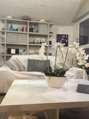 Coin salon dans l'établissement Coté Ouest