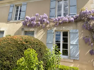 Jardin de l'établissement Manoir des Rosiers
