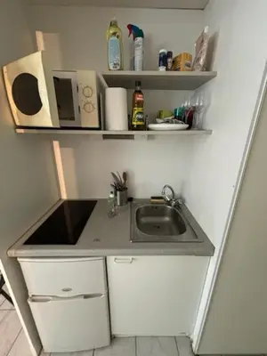 Cuisine ou kitchenette dans l'établissement Studio Carquefou