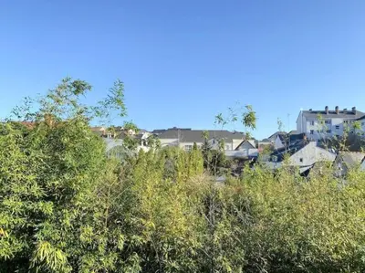 Paysage naturel près de l'appartement